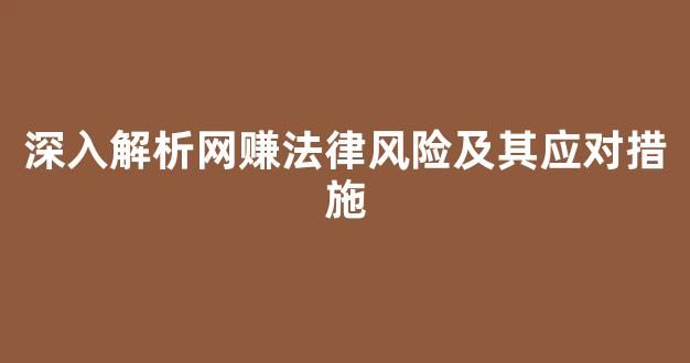 深入解析网赚法律风险及其应对措施 - 严选资源大全