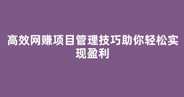 高效网赚项目管理技巧助你轻松实现盈利 - 严选资源大全
