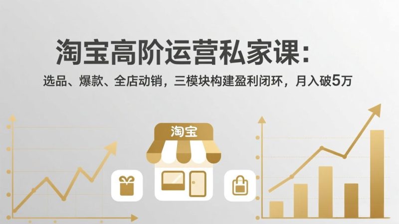 淘宝高阶运营私家课：选品、爆款、全店动销，三模块构建盈利闭环，月入破5万(更新26年2月 - 严选资源大全 - 严选资源大全