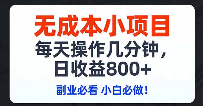 无成本小项目,每天操作几分钟,日收益800+ 副业必看 小白必做！ - 严选资源大全