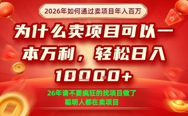 一单净利润1K+，26年想年入100个W，死磕卖项目就够了【揭秘】 - 严选资源大全
