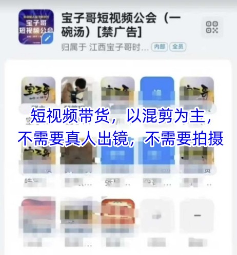 宝子哥头部团队短视频带货，以混剪为主，不需要真人出镜，不需要拍摄【更新26年3月】 - 严选资源大全