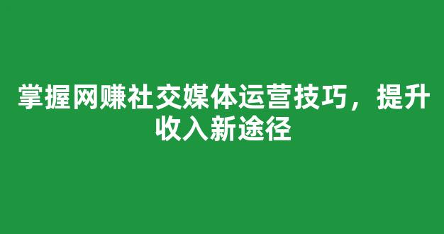 掌握网赚社交媒体运营技巧，提升收入新途径 - 严选资源大全