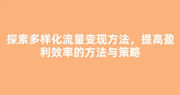 探索多样化流量变现方法，提高盈利效率的方法与策略 - 严选资源大全