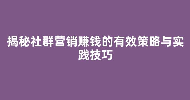 揭秘社群营销赚钱的有效策略与实践技巧 - 严选资源大全