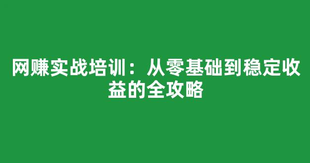 网赚实战培训：从零基础到稳定收益的全攻略 - 严选资源大全