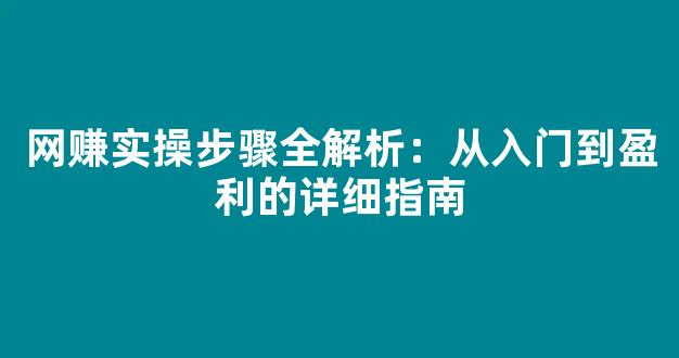 网赚实操步骤全解析：从入门到盈利的详细指南 - 严选资源大全