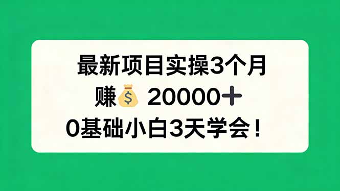 最新项目实操3个月，赚钱20000+，0基础小白3天学会！ - 严选资源大全