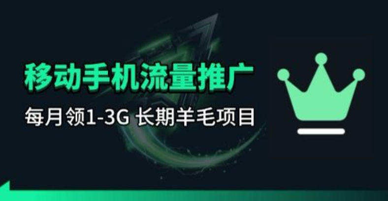 手机流量领取推广_每月一轮，刚需类的长期项目 - 严选资源大全