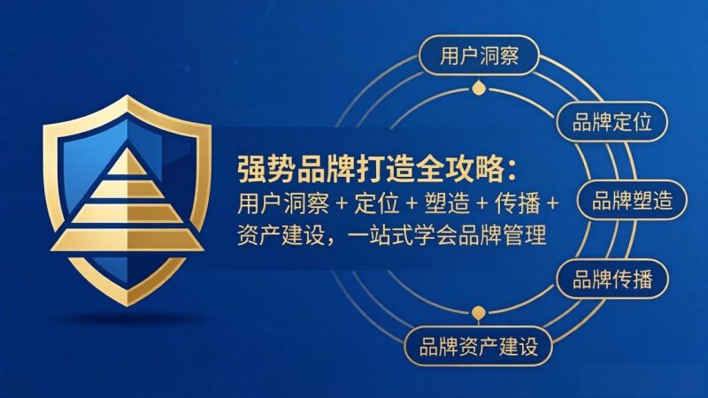 强势品牌打造全攻略：用户洞察 + 定位 + 塑造 + 传播 + 资产建设，一站式学会品牌管理 - 严选资源大全 - 严选资源大全