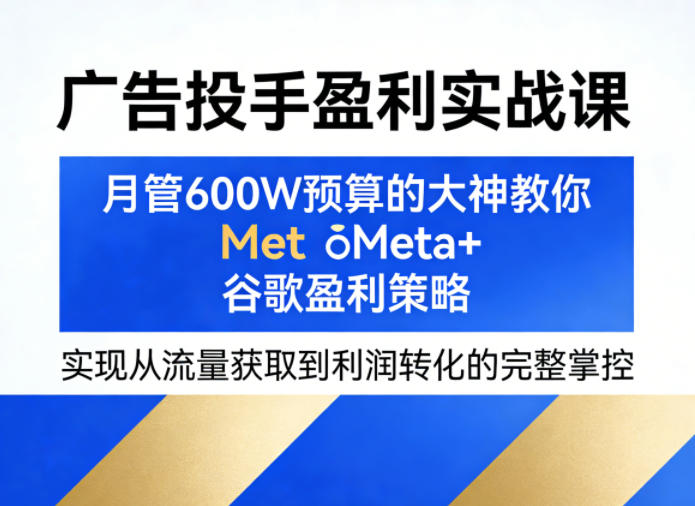 广告投手盈利实战课，月管600W预算的大神教你Meta+谷歌盈利策略，实现从流量获取到利润转化的完整掌控 - 严选资源大全