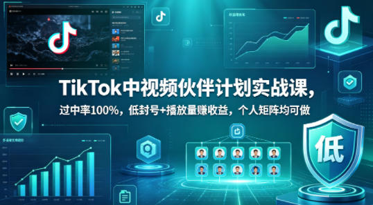 TikTok中视频伙伴计划实战课，过中率100%，低封号+播放量賺收益，个人矩阵均可做 - 严选资源大全