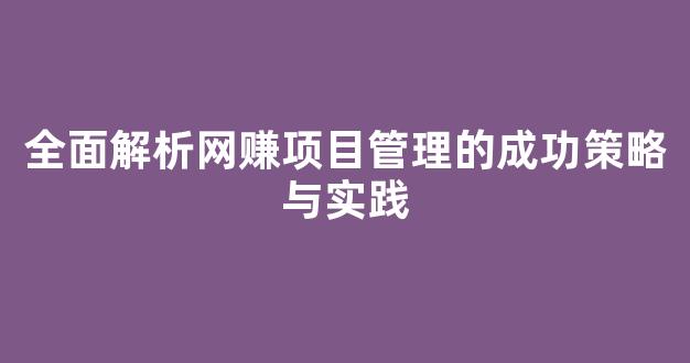 全面解析网赚项目管理的成功策略与实践 - 严选资源大全