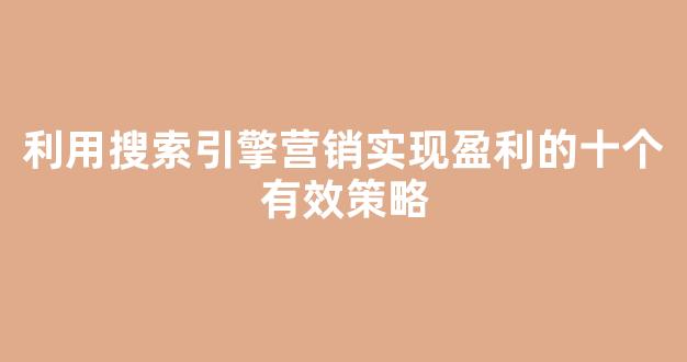 利用搜索引擎营销实现盈利的十个有效策略 - 严选资源大全