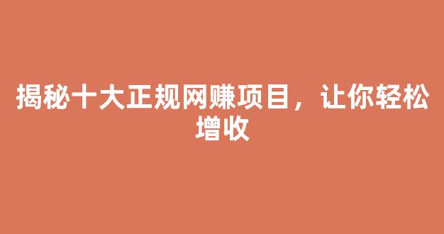 揭秘十大正规网赚项目，让你轻松增收 - 严选资源大全