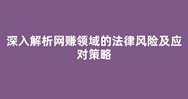深入解析网赚领域的法律风险及应对策略 - 严选资源大全