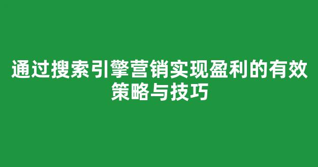 通过搜索引擎营销实现盈利的有效策略与技巧 - 严选资源大全