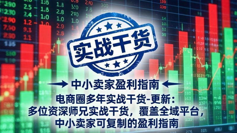 电商圈多年实战干货-更新5月10：多位资深师兄实战干货/覆盖全域平台，中小卖家可复制的盈利指南 - 严选资源大全 - 严选资源大全