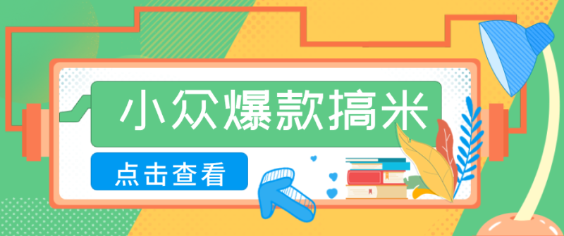 适合普通人的小众爆款搞米赛道，制作极其简单，月收益5000+ - 严选资源大全 - 严选资源大全
