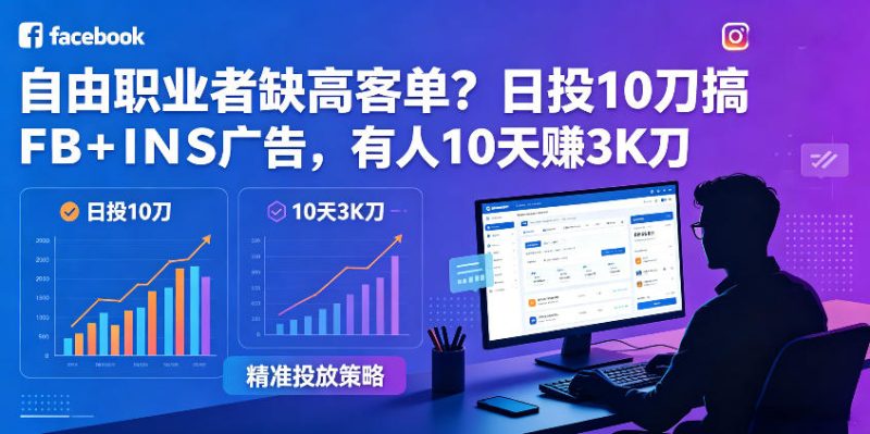 自由职业者缺高客单?日投10刀搞FB+INS广告,有人10天赚3K刀!【原创双语字幕】 - 严选资源大全 - 严选资源大全