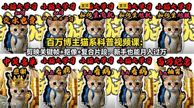 百万博主猫系科普视频课：剪映关键帧+抠像+复合片段，新手也能月入过万 - 严选资源大全