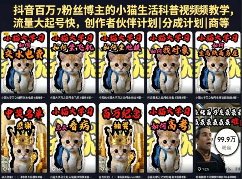 抖音百万粉丝博主的小猫生活科普视频教学，流量大起号快，创作者伙伴计划|分成计划|商单|收徒等 - 严选资源大全 - 严选资源大全