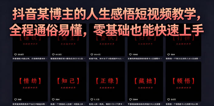 抖音某博主的灰太狼人生感悟短视频教学，全程通俗易懂，零基础也能快速上手 - 严选资源大全