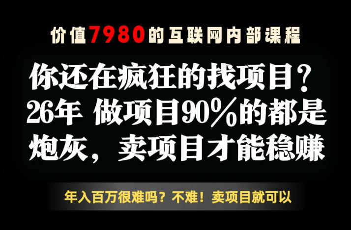 26年请不要疯狂的找项目了，卖项目远比你想象的暴利，你也可以月入10W+【揭秘】 - 严选资源大全