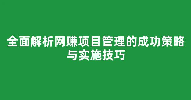 全面解析网赚项目管理的成功策略与实施技巧 - 严选资源大全