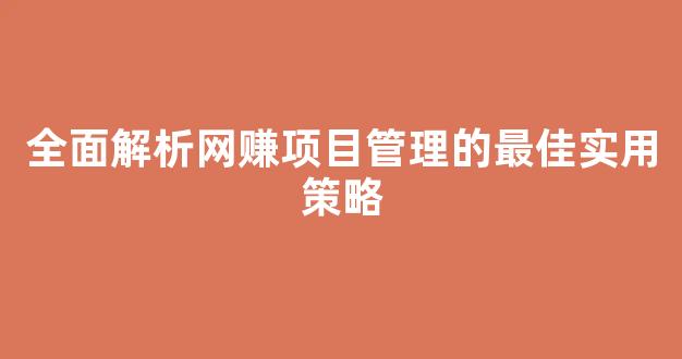 全面解析网赚项目管理的最佳实用策略 - 严选资源大全