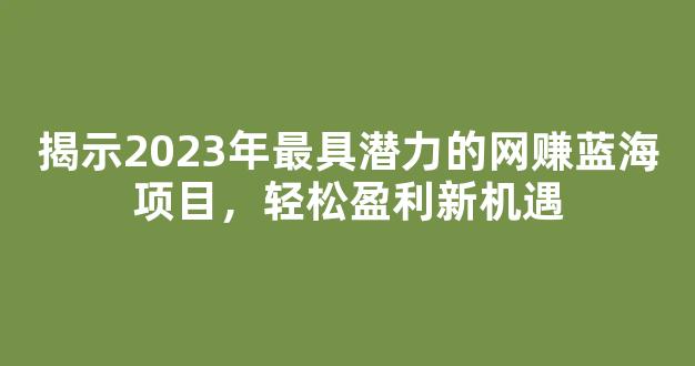 揭示2023年最具潜力的网赚蓝海项目，轻松盈利新机遇 - 严选资源大全
