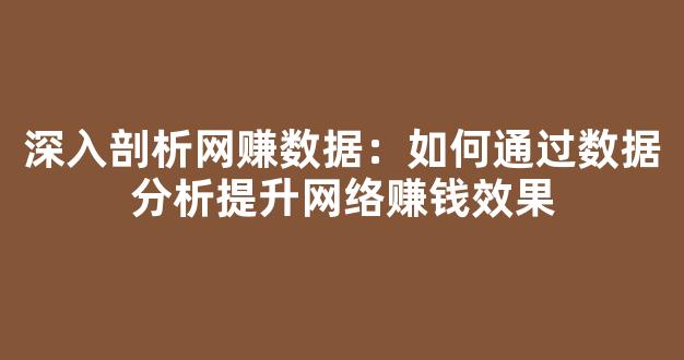 深入剖析网赚数据：如何通过数据分析提升网络赚钱效果 - 严选资源大全