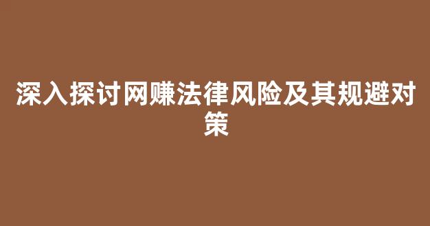 深入探讨网赚法律风险及其规避对策 - 严选资源大全