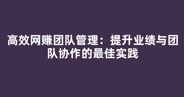 高效网赚团队管理：提升业绩与团队协作的最佳实践 - 严选资源大全