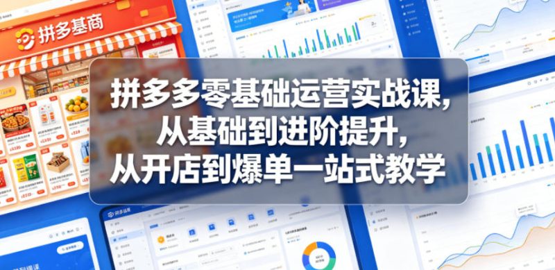 拼多多零基础运营实战课,从基础到进阶提升,从开店到爆单一站式教学 - 严选资源大全 - 严选资源大全