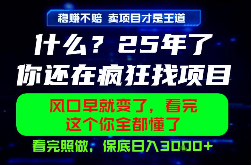 26年,请不要疯狂的找项目做了!卖项目才是真的稳賺不赔,看完照做,保底日入1k+【揭秘】 - 严选资源大全 - 严选资源大全