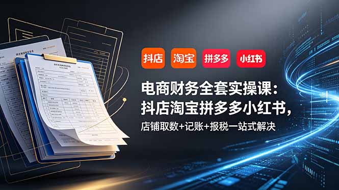 电商财务全套实操课:抖店淘宝拼多多小红书,店铺取数+记账+报税一站式解决 - 严选资源大全