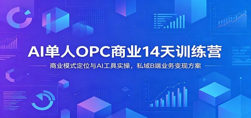 AI单人OPC商业14天训练营:商业模式定位与AI工具实操,私域B端业务变现方案 - 严选资源大全 - 严选资源大全