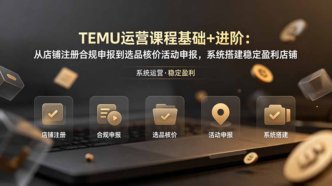 TEMU运营课程(基础+进阶 - 严选资源大全