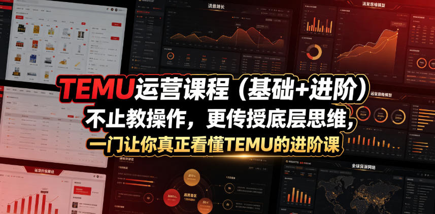 TEMU运营课程(基础+进阶)，不止教操作，更传授底层思维，一门让你真正看懂TEMU的进阶课 - 严选资源大全