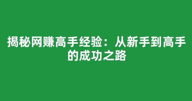 揭秘网赚高手经验：从新手到高手的成功之路 - 严选资源大全