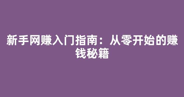 新手网赚入门指南：从零开始的赚钱秘籍 - 严选资源大全