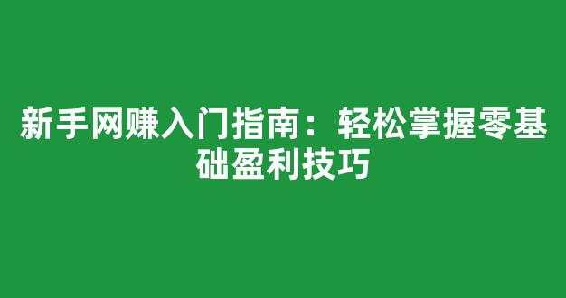 新手网赚入门指南：轻松掌握零基础盈利技巧 - 严选资源大全