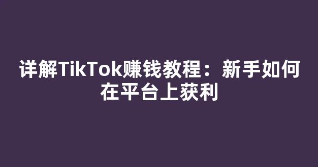 详解TikTok赚钱教程：新手如何在平台上获利 - 严选资源大全