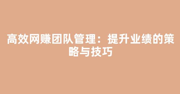 高效网赚团队管理：提升业绩的策略与技巧 - 严选资源大全
