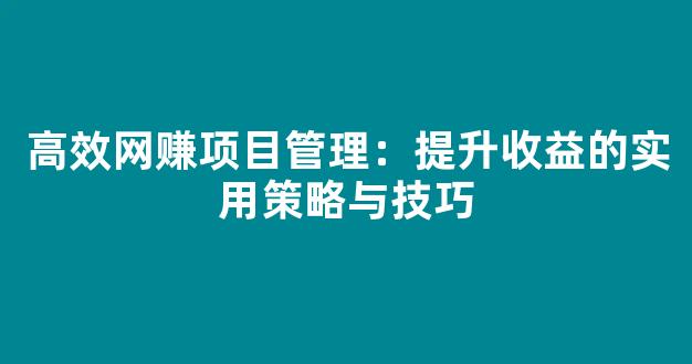 高效网赚项目管理：提升收益的实用策略与技巧 - 严选资源大全