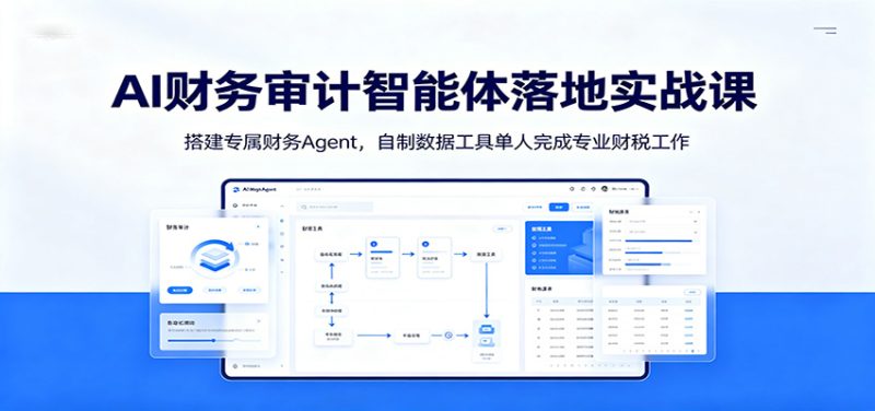 AI财务审计智能体落地实战课:搭建专属财务Agent,自制数据工具单人完成专业财税工作 - 严选资源大全 - 严选资源大全