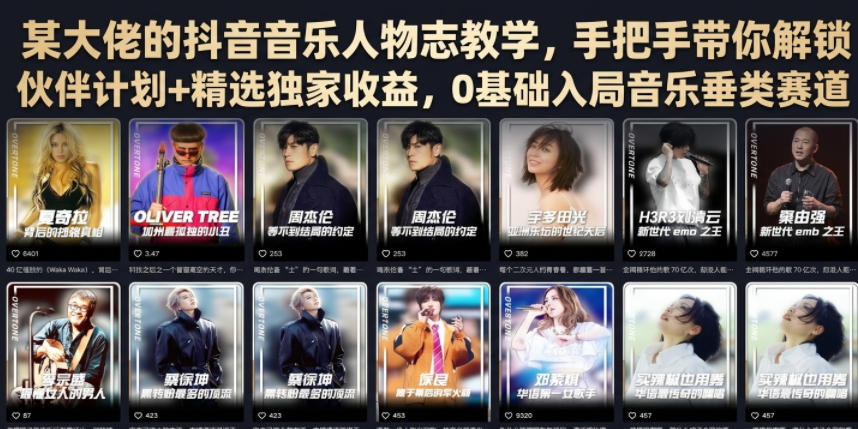 某大佬的抖音音乐人物志教学,手把手带你解锁伙伴计划+精选独家收益,0基础入局音乐垂类赛道 - 严选资源大全