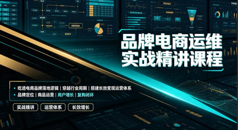 品牌电商运维实战精讲课程|吃透电商品牌落地逻辑、穿越行业周期、搭建长效变现运营体系 - 严选资源大全 - 严选资源大全