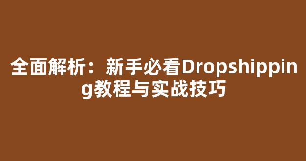 全面解析：新手必看Dropshipping教程与实战技巧 - 严选资源大全